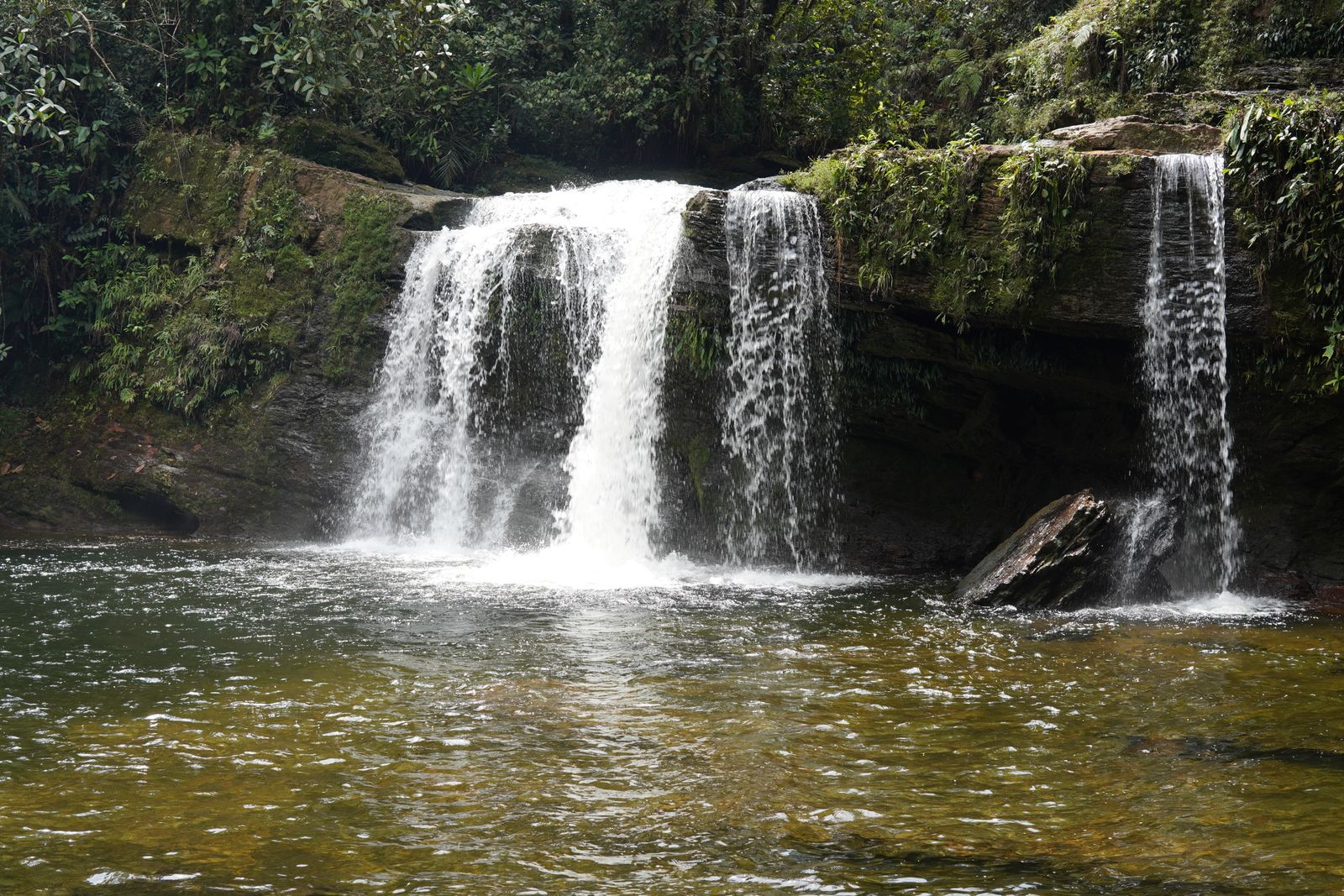 Cortinas de agua sobre rocas y una poza rodeada de bosque durante el viaje de noviembre de 2022.