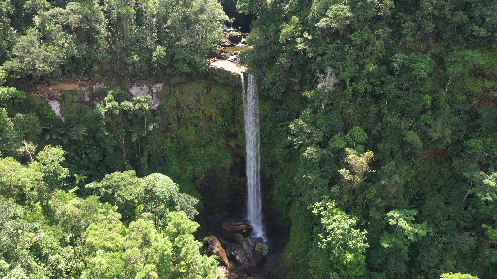 Vista aérea de una cascada que cae entre paredes rocosas y bosque denso.